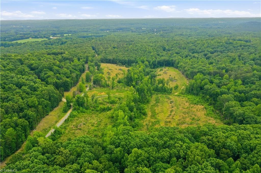 Unimproved Land at 00 Cane Creek Road, Snow Camp NC 27349, photo 8 of 17