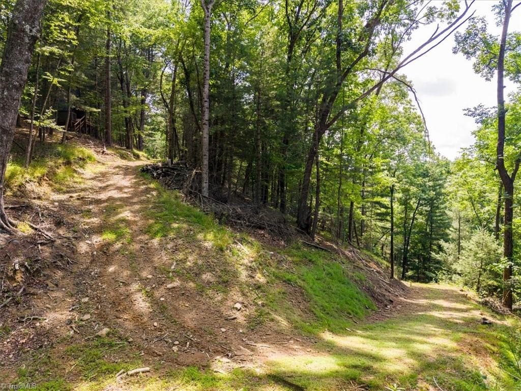 Unimproved Land at 132 Sparks Ridge Lane, Sparta NC 28675, photo 27 of 32