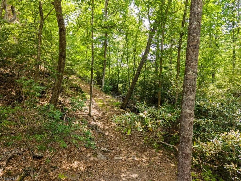 Unimproved Land at 132 Sparks Ridge Lane, Sparta NC 28675, photo 28 of 32