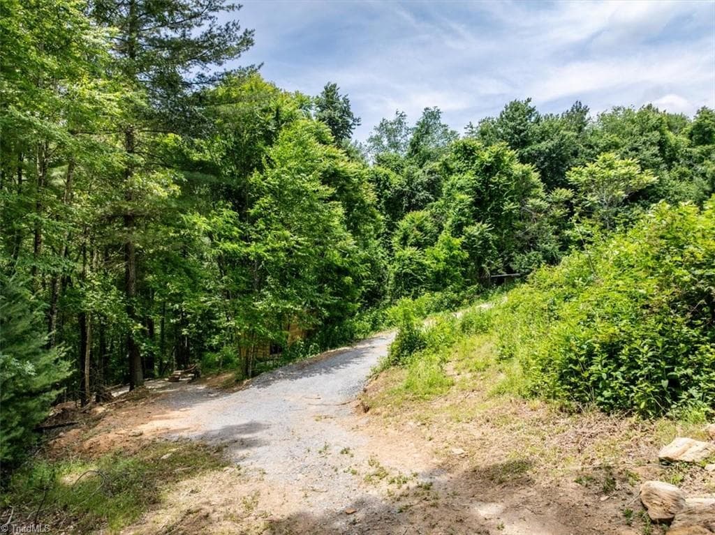 Unimproved Land at 132 Sparks Ridge Lane, Sparta NC 28675, photo 21 of 32