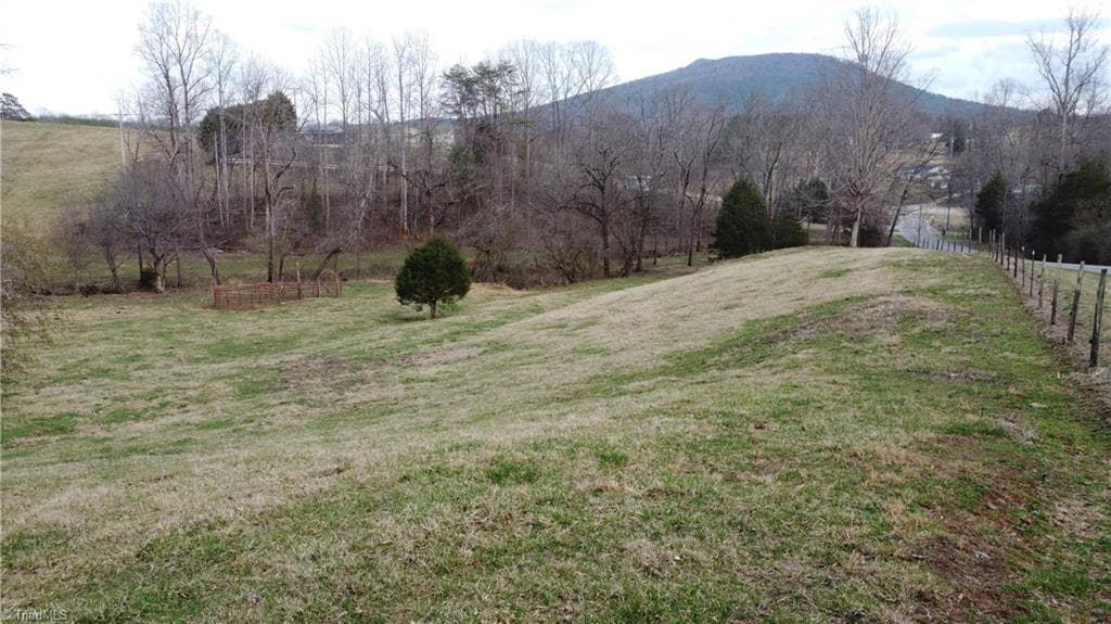 Single Family Residence at 00 Jim McKinney Road, Pinnacle NC 27043, photo 2 of 21