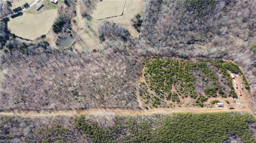 Single Family Residence at 00 Jim McKinney Road, Pinnacle NC 27043, photo 13 of 21