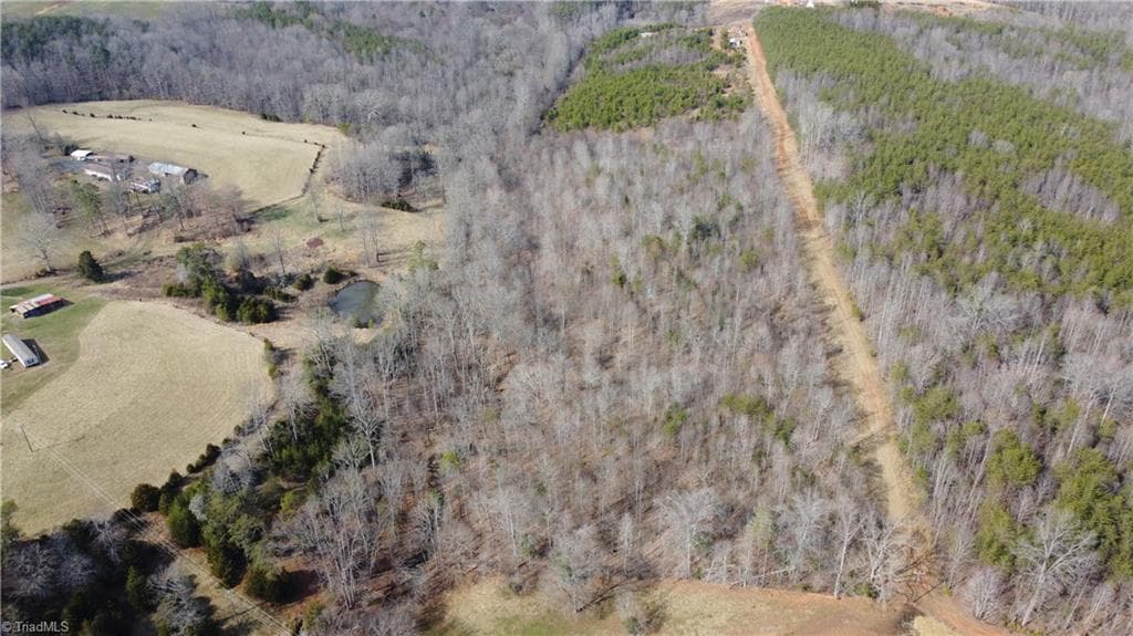 Single Family Residence at 00 Jim McKinney Road, Pinnacle NC 27043, photo 10 of 21