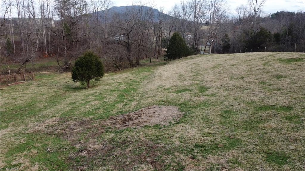 Single Family Residence at 00 Jim McKinney Road, Pinnacle NC 27043, photo 15 of 21