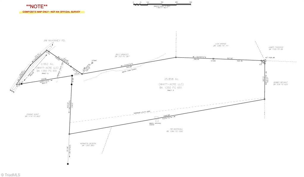Single Family Residence at 00 Jim McKinney Road, Pinnacle NC 27043, photo 4 of 21