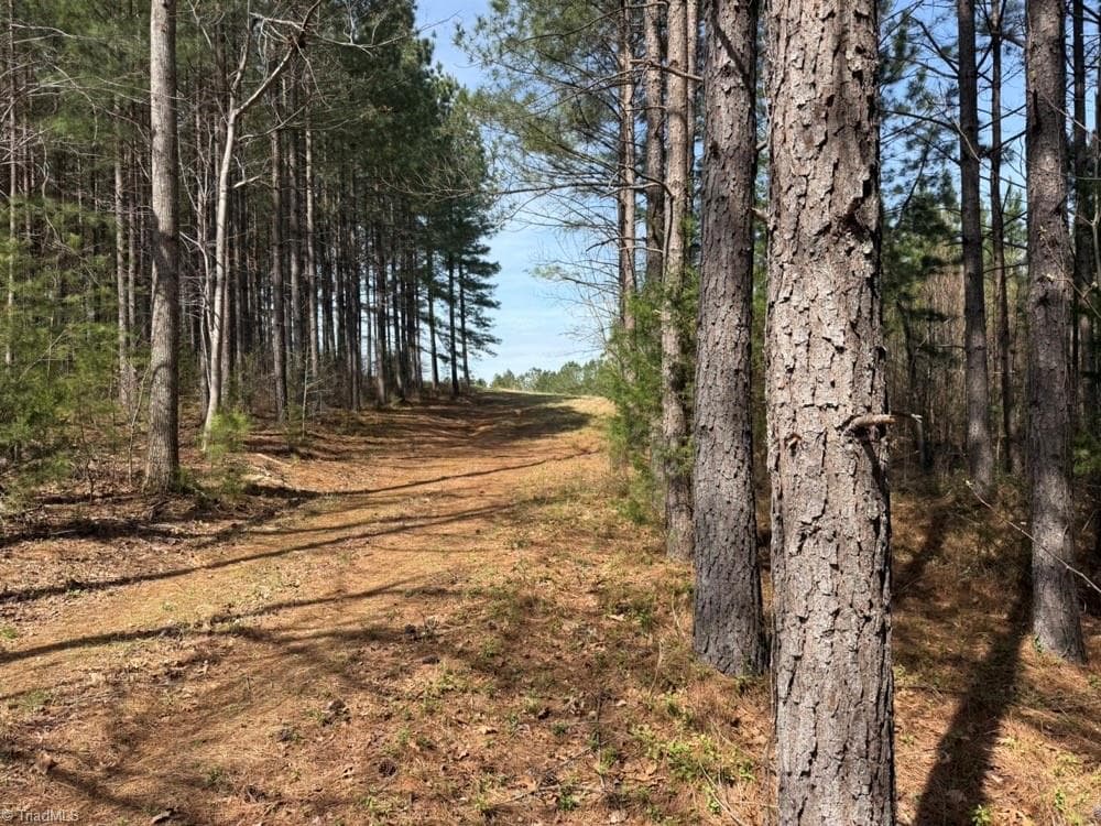 Unimproved Land at 508 New Lebanon Church Road, Reidsville NC 27320, photo 23 of 35