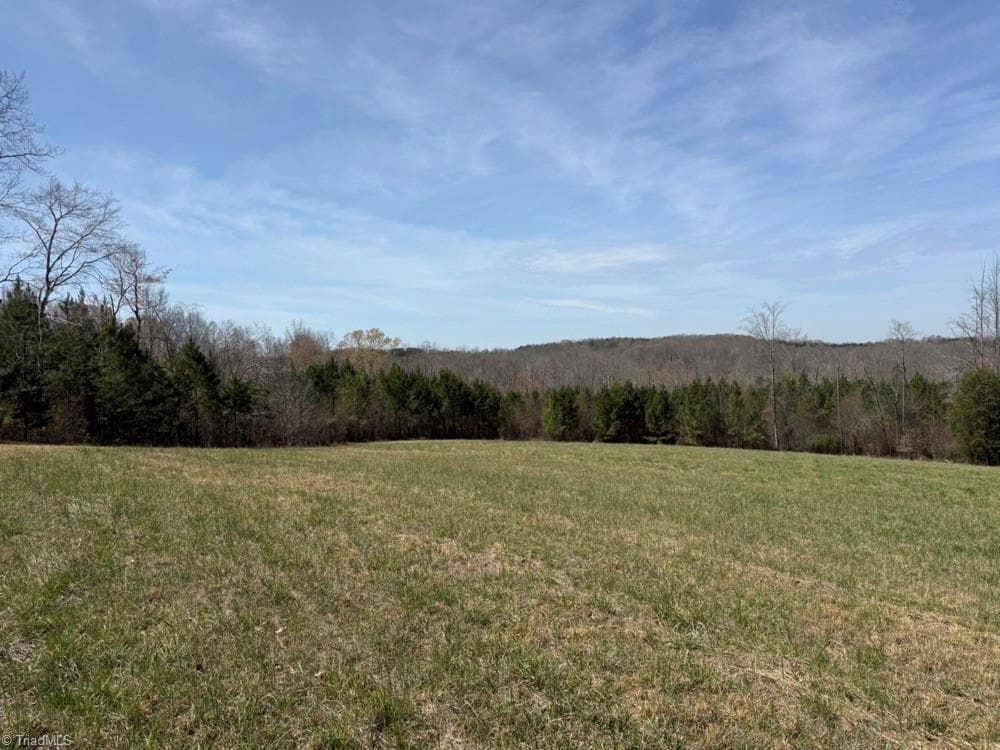 Unimproved Land at 508 New Lebanon Church Road, Reidsville NC 27320, photo 27 of 35