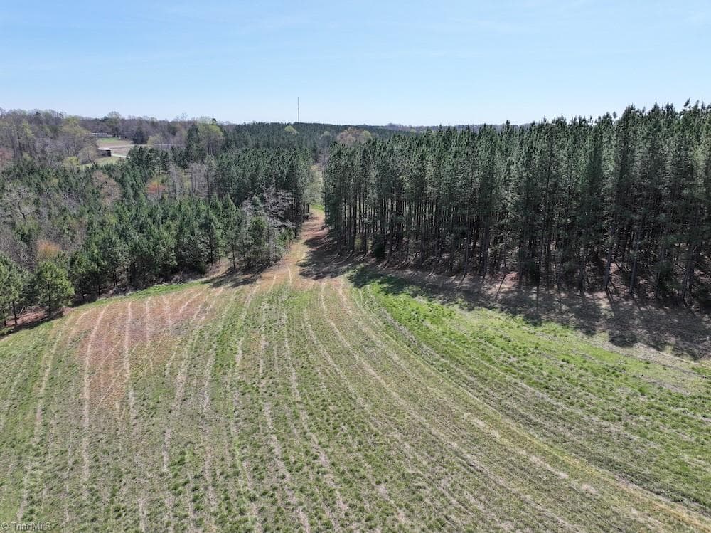 Unimproved Land at 508 New Lebanon Church Road, Reidsville NC 27320, photo 16 of 35