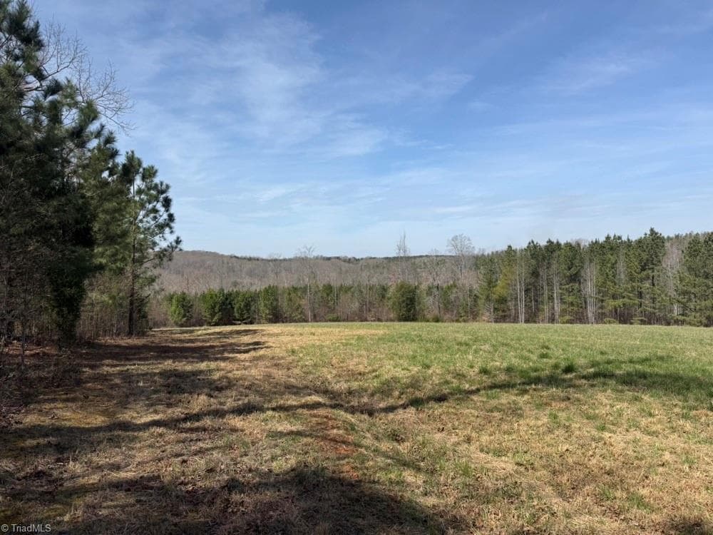 Unimproved Land at 508 New Lebanon Church Road, Reidsville NC 27320, photo 26 of 35