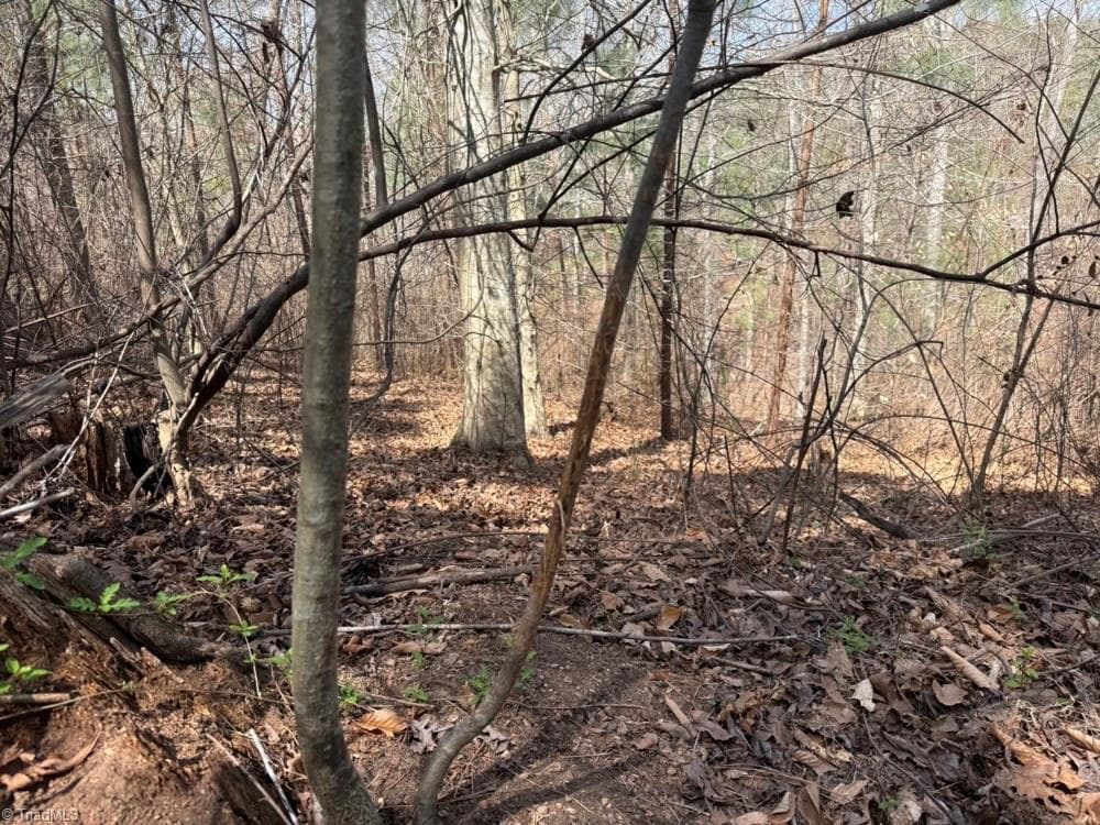 Unimproved Land at 508 New Lebanon Church Road, Reidsville NC 27320, photo 28 of 35