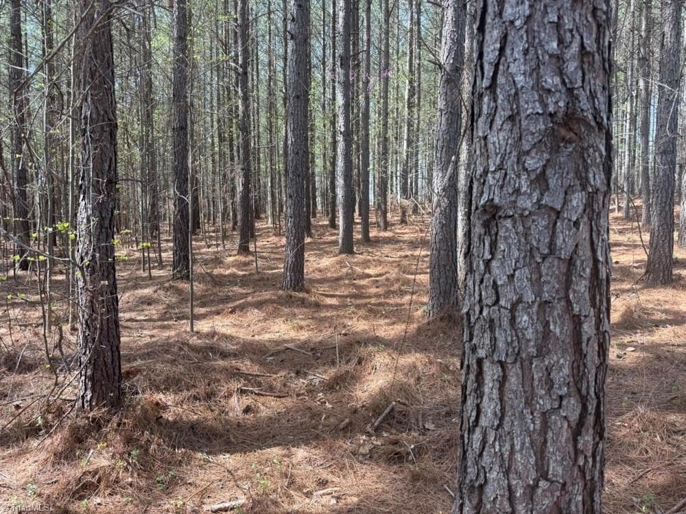 Unimproved Land at 508 New Lebanon Church Road, Reidsville NC 27320, photo 24 of 35