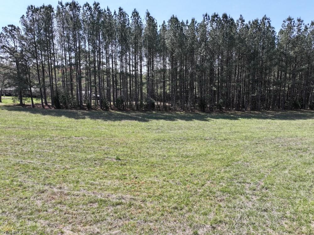 Unimproved Land at 508 New Lebanon Church Road, Reidsville NC 27320, photo 14 of 35