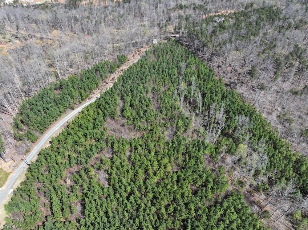 Unimproved Land at 508 New Lebanon Church Road, Reidsville NC 27320, photo 11 of 35