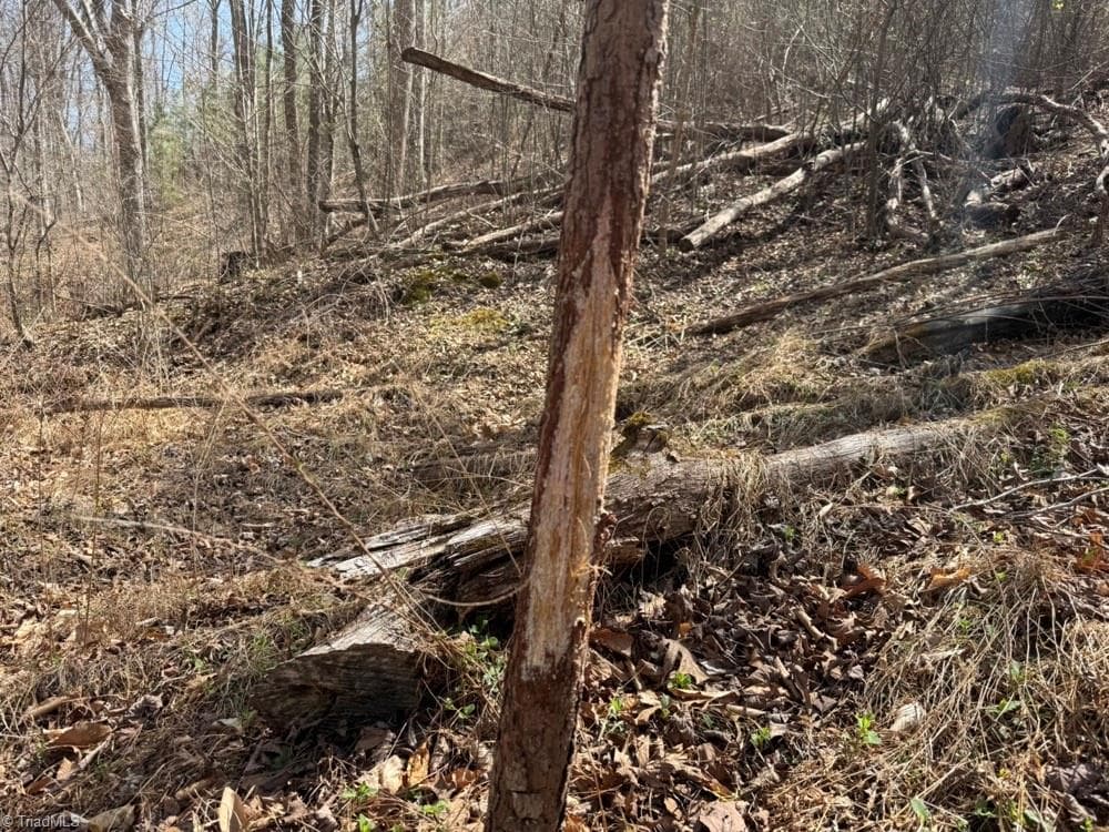 Unimproved Land at 508 New Lebanon Church Road, Reidsville NC 27320, photo 35 of 35