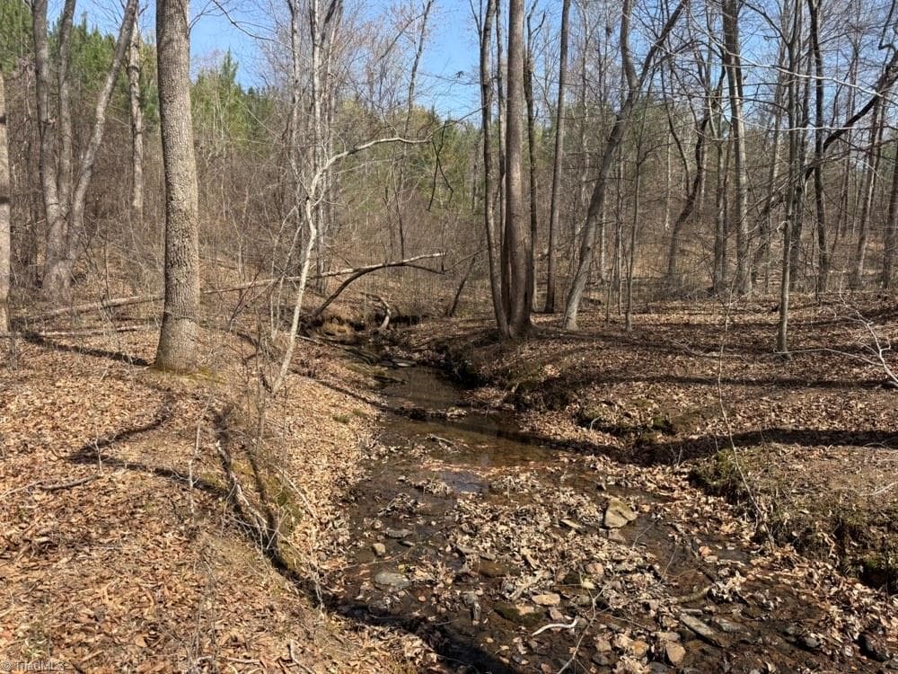 Unimproved Land at 508 New Lebanon Church Road, Reidsville NC 27320, photo 31 of 35