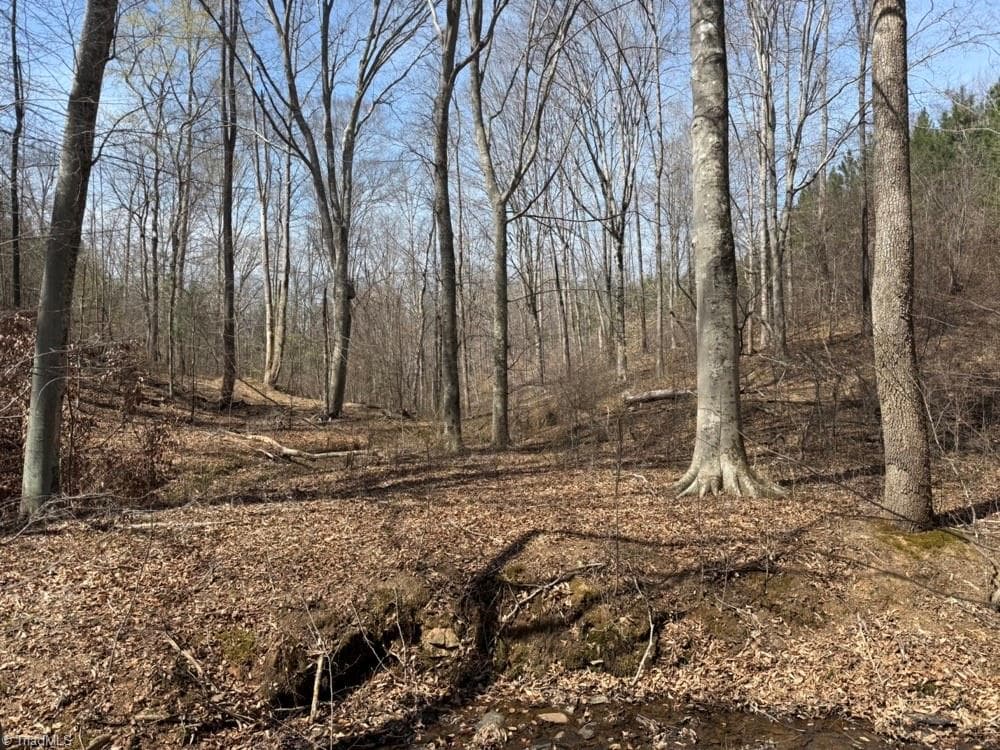 Unimproved Land at 508 New Lebanon Church Road, Reidsville NC 27320, photo 29 of 35