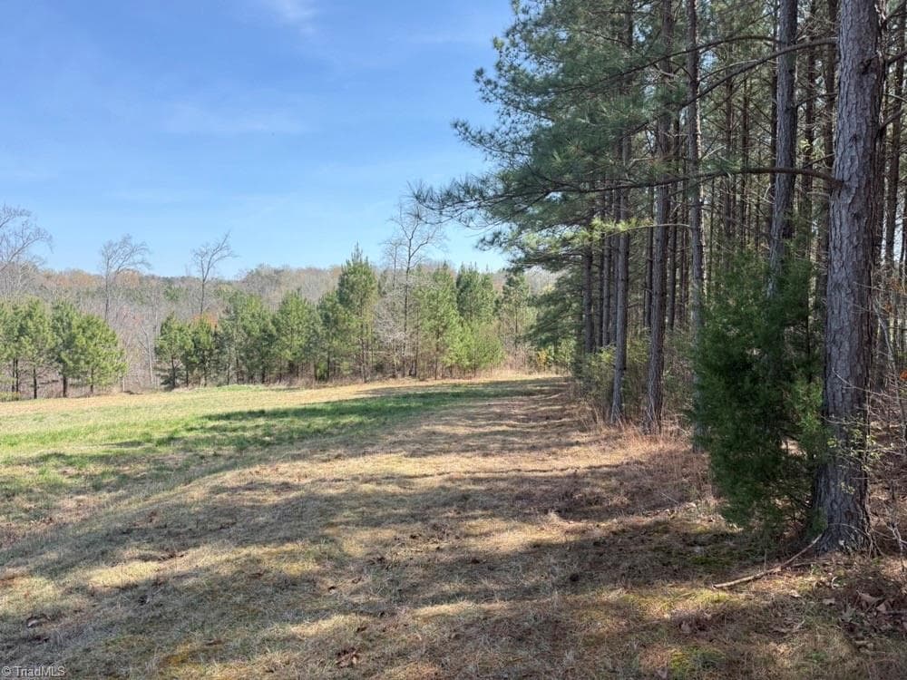 Unimproved Land at 508 New Lebanon Church Road, Reidsville NC 27320, photo 25 of 35