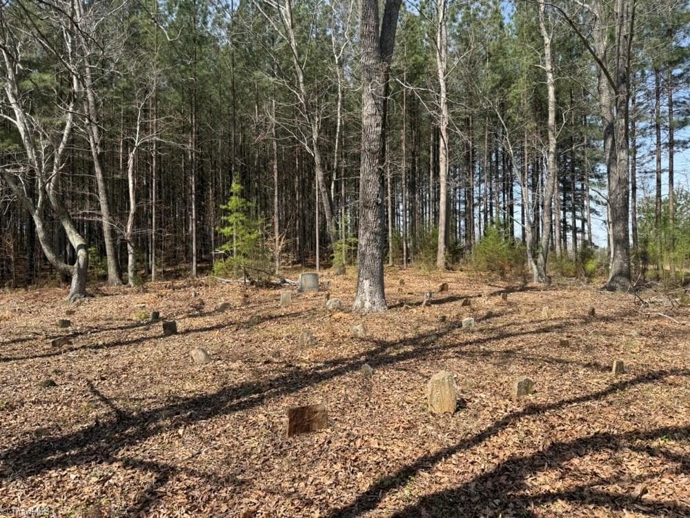 Unimproved Land at 508 New Lebanon Church Road, Reidsville NC 27320, photo 21 of 35