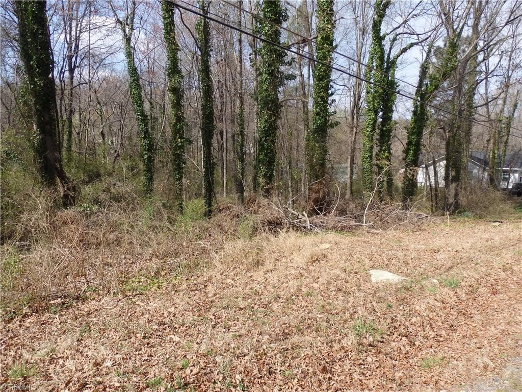 Unimproved Land at 0 Chestnut Street, Asheboro NC 27203, photo 3 of 7