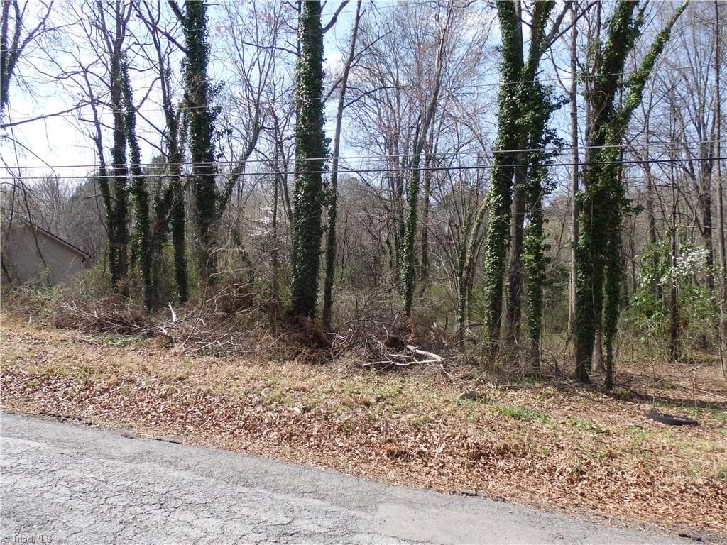 Unimproved Land at 0 Chestnut Street, Asheboro NC 27203, photo 5 of 7
