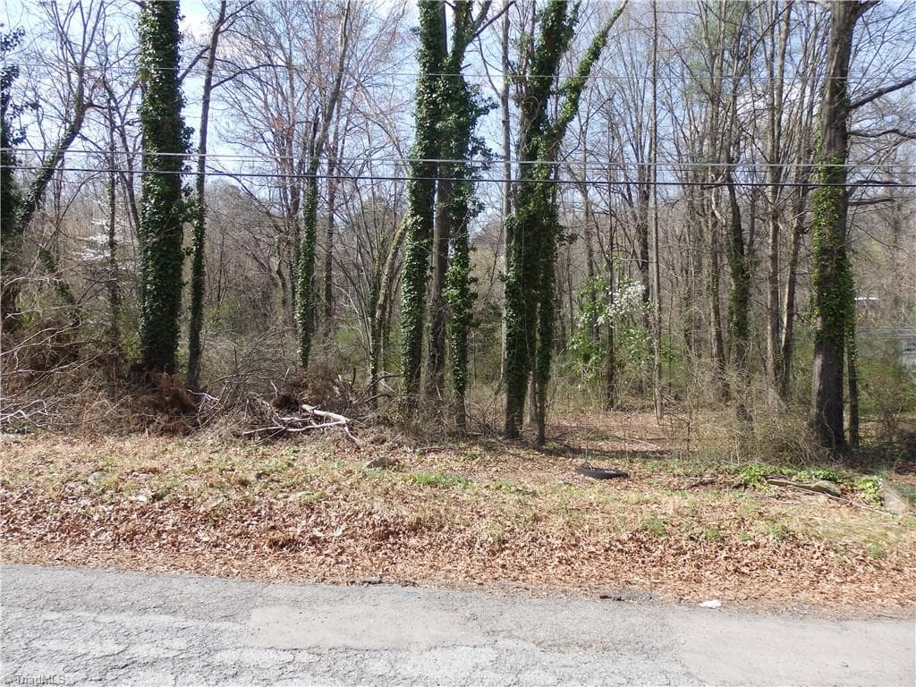 Unimproved Land at 0 Chestnut Street, Asheboro NC 27203, photo 4 of 7