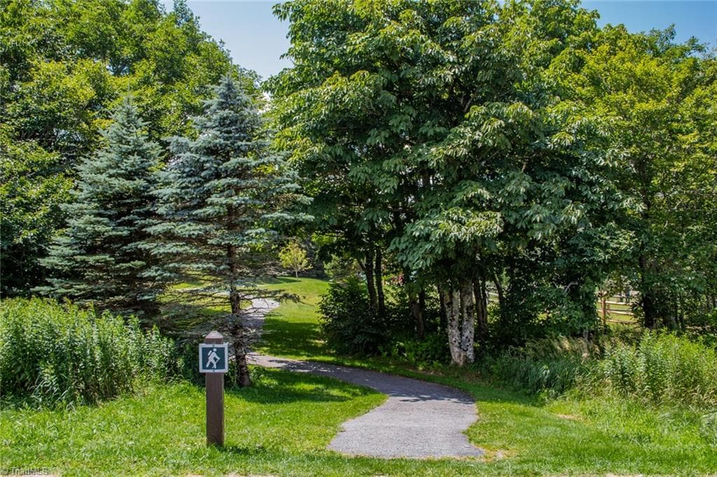 Stick/Site Built at 301 Pinnacle Inn Road # 1110, Beech Mountain NC 28604, Beech Mountain, photo 46 of 50