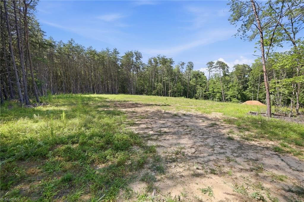 Single Family Residence at 00 Pinehaven Trail, Eden NC 27288, photo 13 of 14