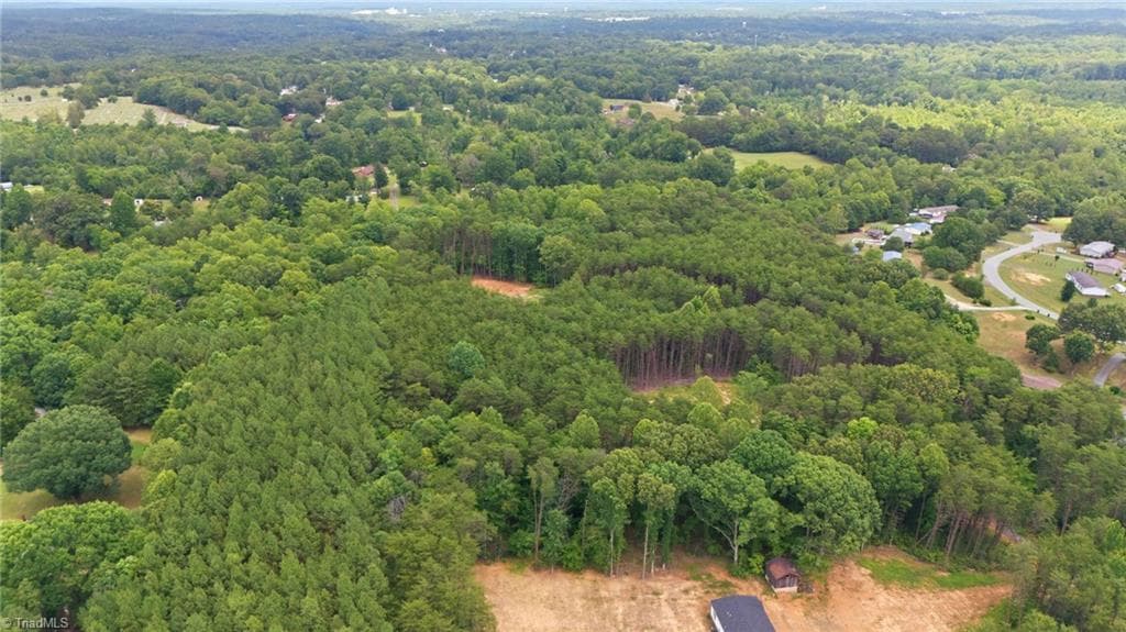 Single Family Residence at 00 Pinehaven Trail, Eden NC 27288, photo 5 of 14