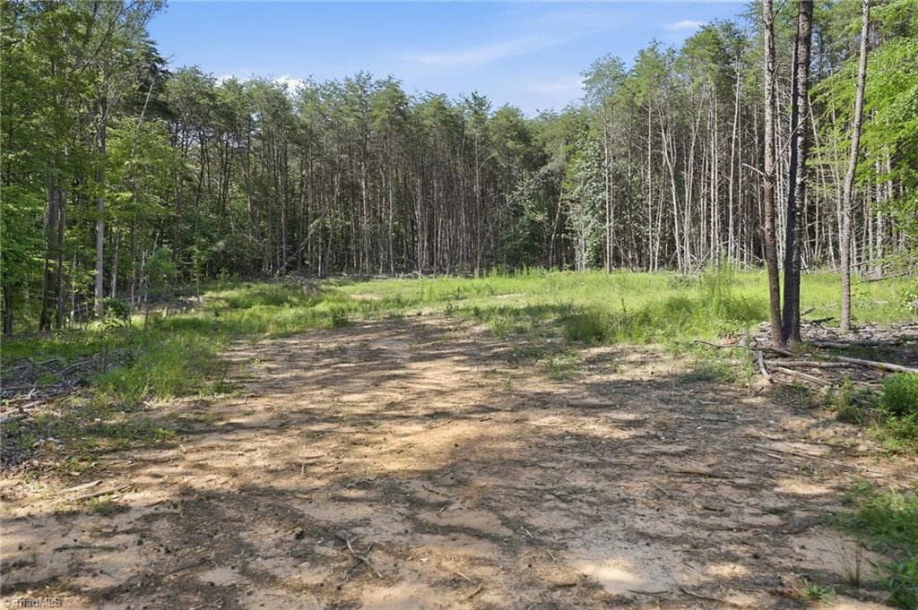 Single Family Residence at 00 Pinehaven Trail, Eden NC 27288, photo 11 of 14