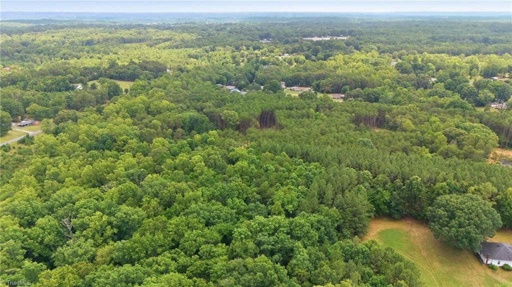 Single Family Residence at 00 Pinehaven Trail, Eden NC 27288, photo 4 of 14