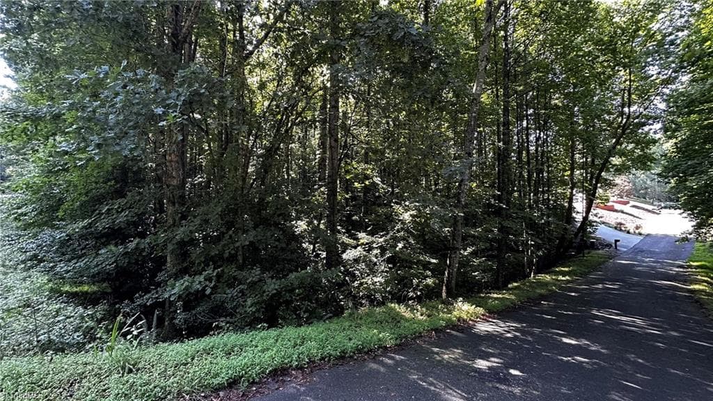 Single Family Residence at 00C Higgins Road, Wilkesboro NC 28697, photo 6 of 13