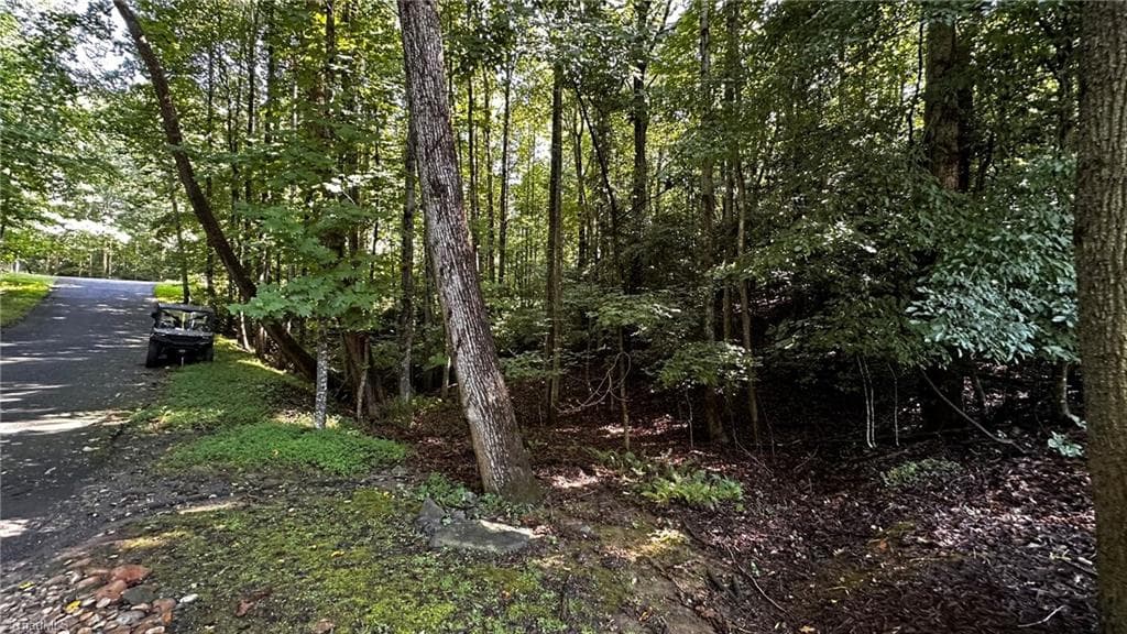 Single Family Residence at 00C Higgins Road, Wilkesboro NC 28697, photo 13 of 13