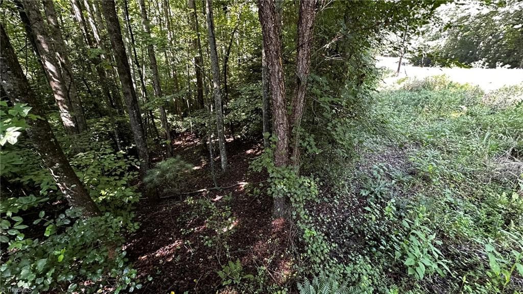Single Family Residence at 00C Higgins Road, Wilkesboro NC 28697, photo 7 of 13