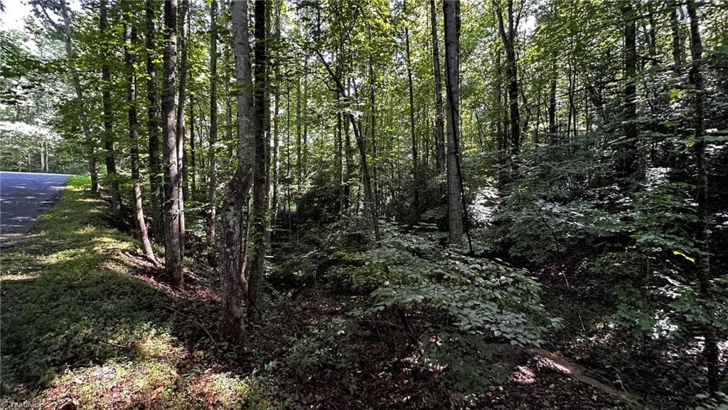 Single Family Residence at 00C Higgins Road, Wilkesboro NC 28697, photo 10 of 13
