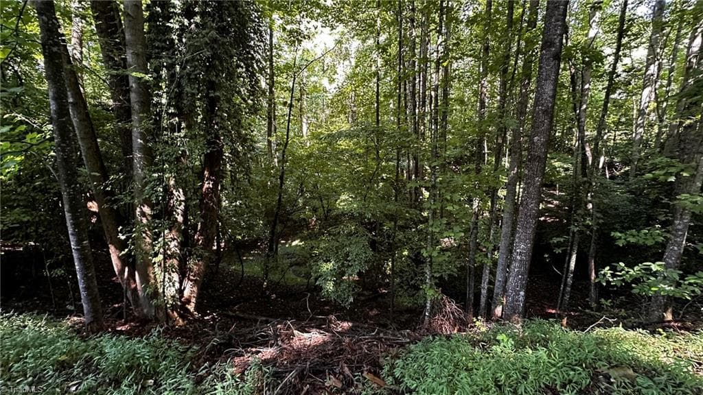 Single Family Residence at 00C Higgins Road, Wilkesboro NC 28697, photo 11 of 13