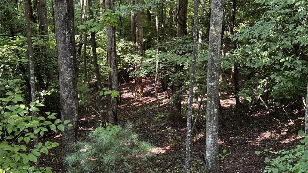 Single Family Residence at 00C Higgins Road, Wilkesboro NC 28697, photo 8 of 13