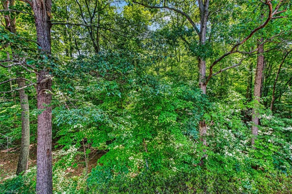 Stick/Site Built at 827 Anns Court, Asheboro NC 27205, photo 44 of 45