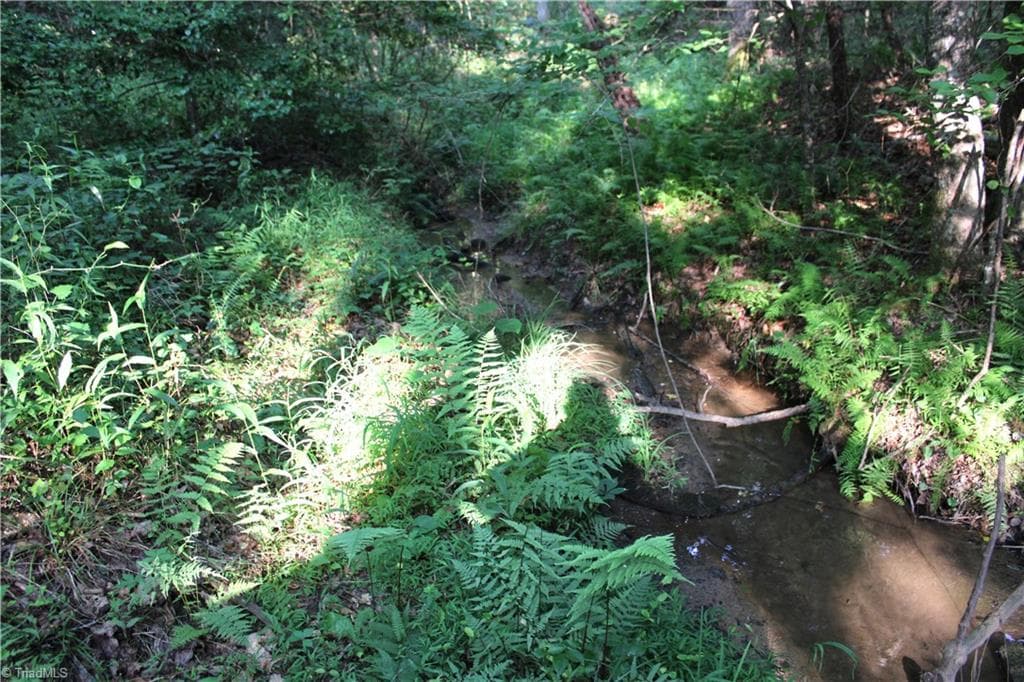 Stick/Site Built at 2541 Collinstown Road, Westfield NC 27053, photo 23 of 50