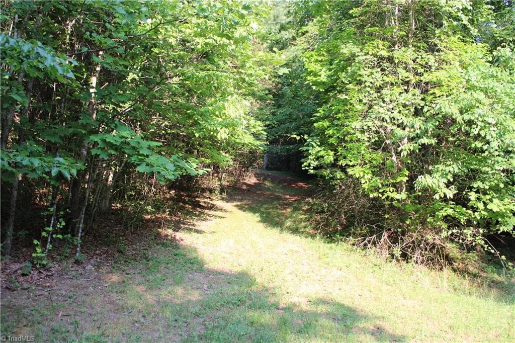 Stick/Site Built at 2541 Collinstown Road, Westfield NC 27053, photo 26 of 50
