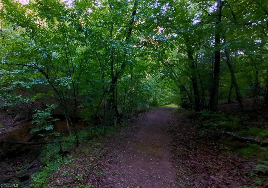 Stick/Site Built at 2541 Collinstown Road, Westfield NC 27053, photo 41 of 50