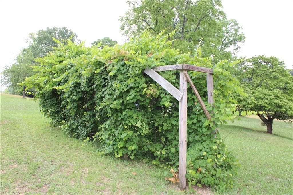 Stick/Site Built at 2541 Collinstown Road, Westfield NC 27053, photo 35 of 50