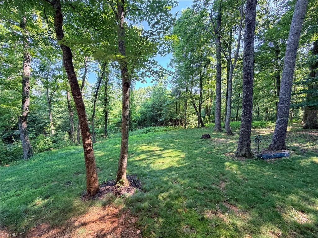 Stick/Site Built at 74 Forest Lane, Ennice NC 28623, photo 8 of 29