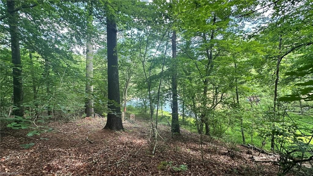 Single Family Residence at 00C High Point Cove, Wilkesboro NC 28697, photo 3 of 18