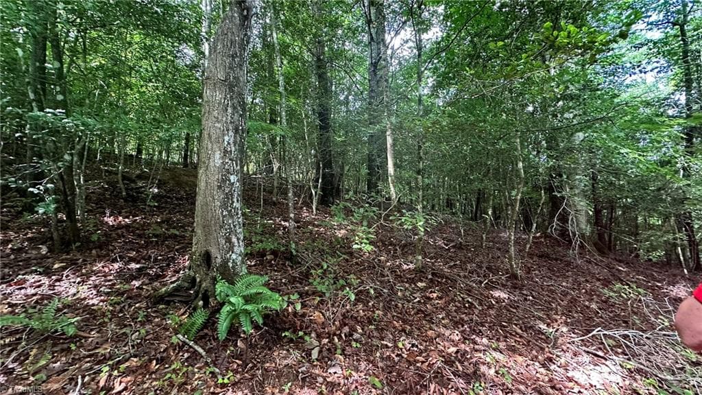 Single Family Residence at 00C High Point Cove, Wilkesboro NC 28697, photo 15 of 18