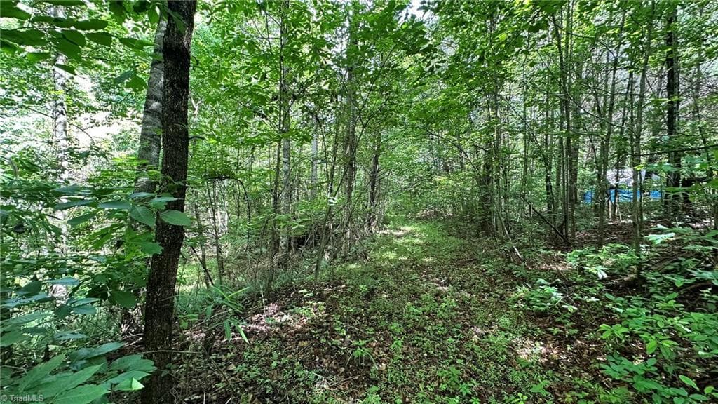 Single Family Residence at 00C High Point Cove, Wilkesboro NC 28697, photo 11 of 18