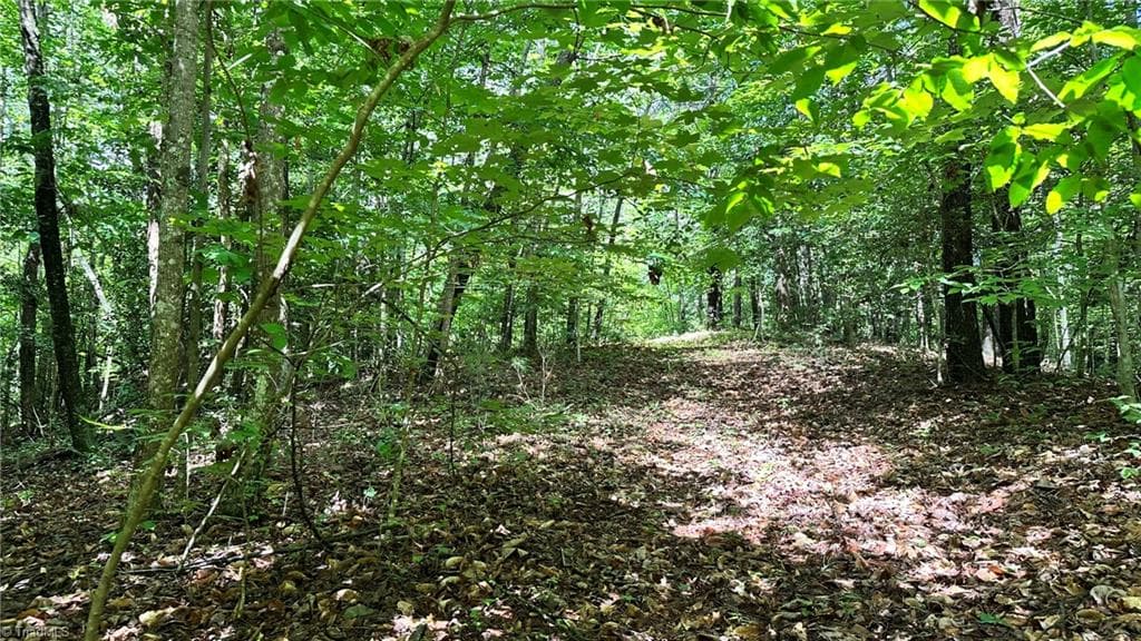 Single Family Residence at 00D High Point Cove, Wilkesboro NC 28697, photo 7 of 14