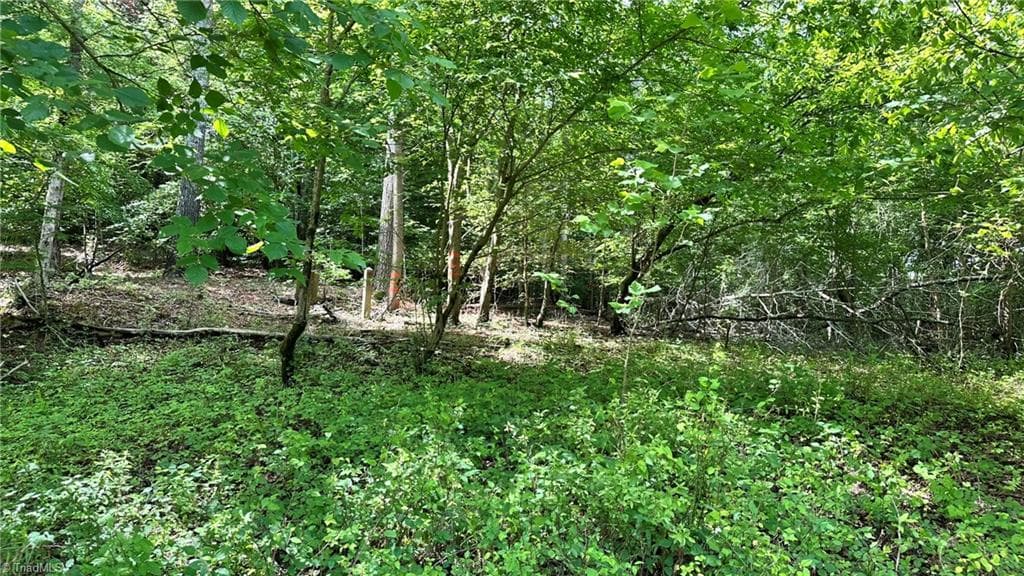 Single Family Residence at 00D High Point Cove, Wilkesboro NC 28697, photo 14 of 14