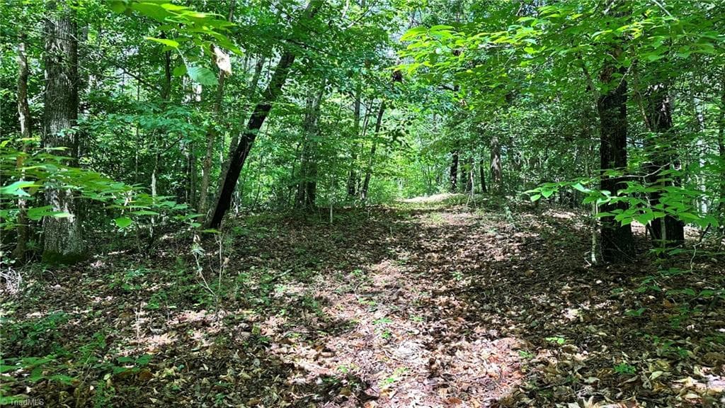 Single Family Residence at 00D High Point Cove, Wilkesboro NC 28697, photo 11 of 14