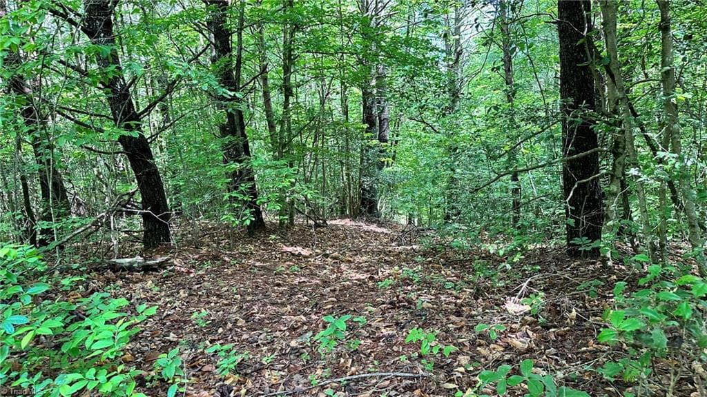 Single Family Residence at 00E High Point Cove, Wilkesboro NC 28697, photo 13 of 15