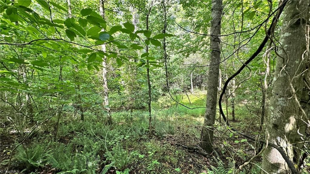 Single Family Residence at 00E High Point Cove, Wilkesboro NC 28697, photo 5 of 15